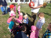 Sorbon - pes fotbalista